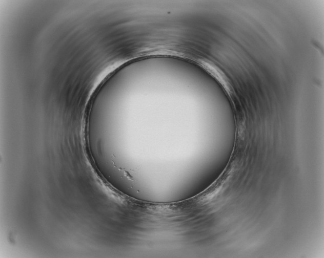 X0000096151149200802081406