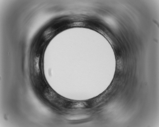 X0000096151150200802081406