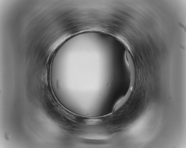 X0000096151151200802081406