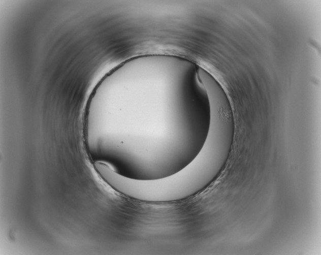 X0000096151152200802081406