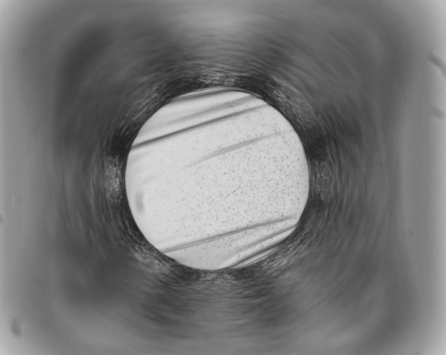 X0000096151154200802081405