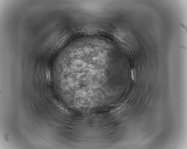 X0000096151155200802081405