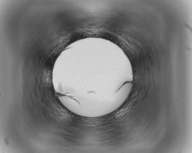 X0000096151156200802081405