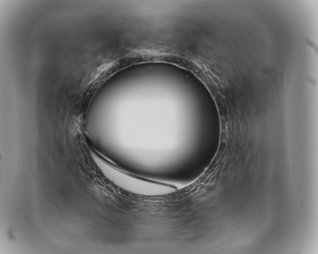 X0000096151157200802081405