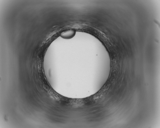 X0000096151158200802081405