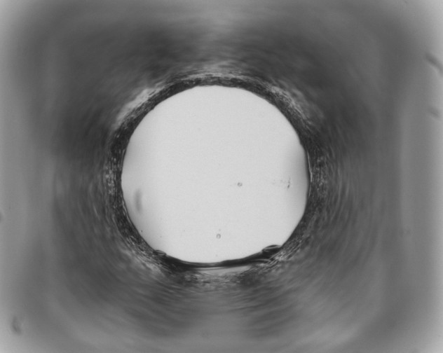 X0000096151159200802081405