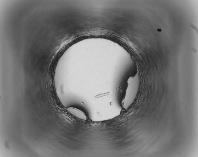 X0000096151160200802081405