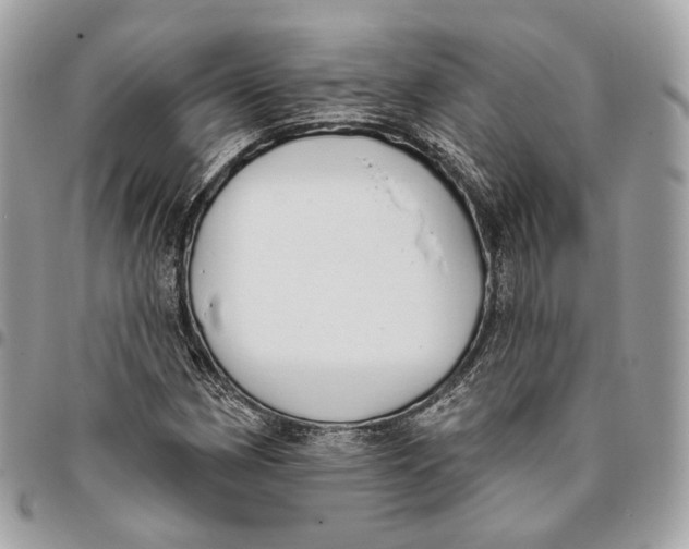 X0000096151162200802081405