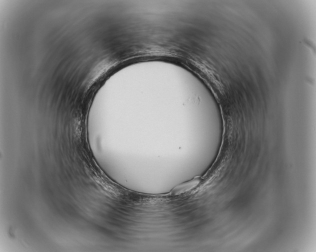 X0000096151163200802081405