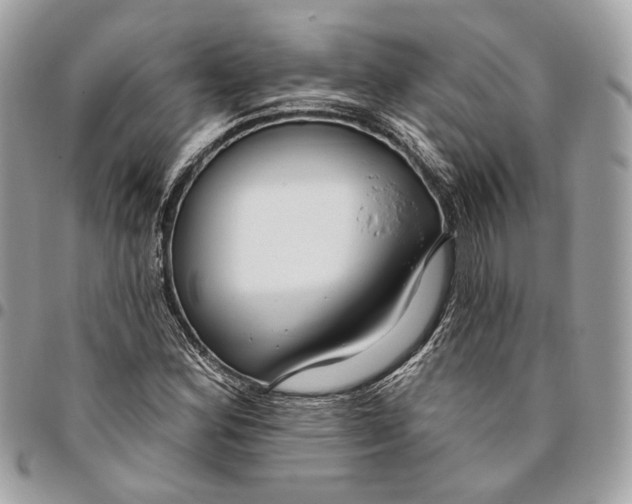 X0000096151164200802081405