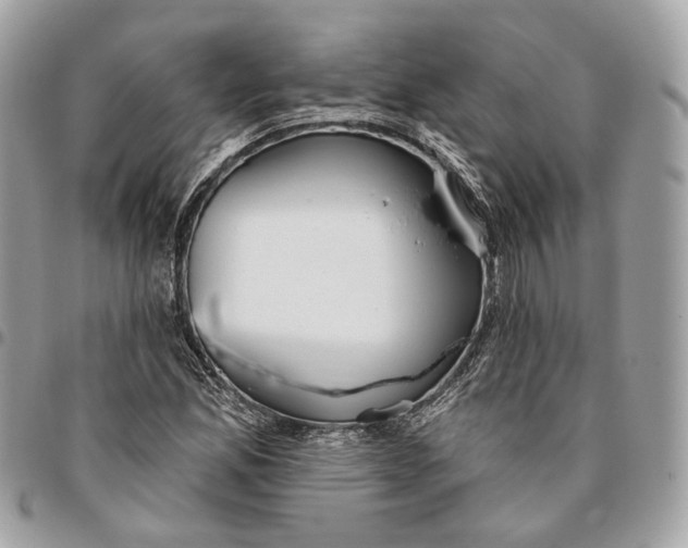 X0000096151165200802081405