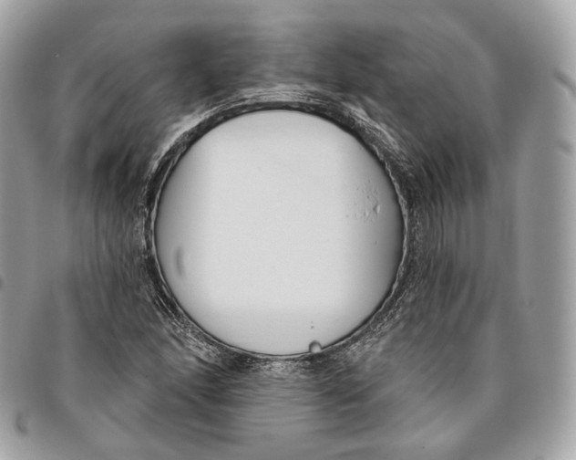 X0000096151166200802081405