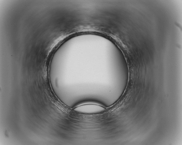 X0000096151167200802081405