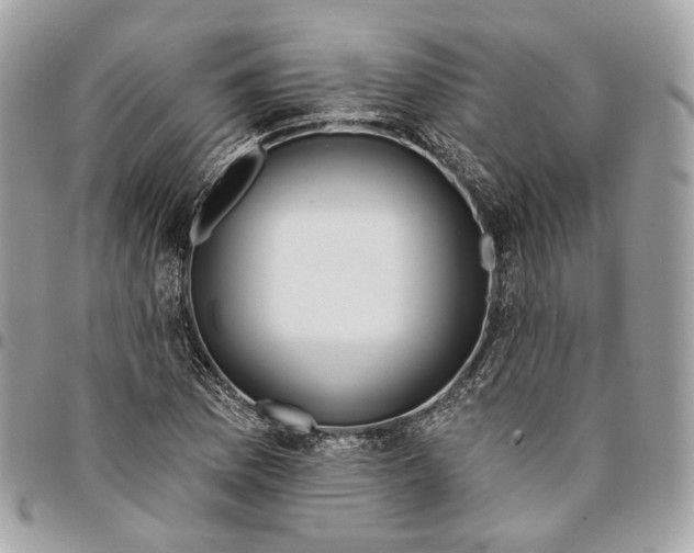 X0000096151169200802081405