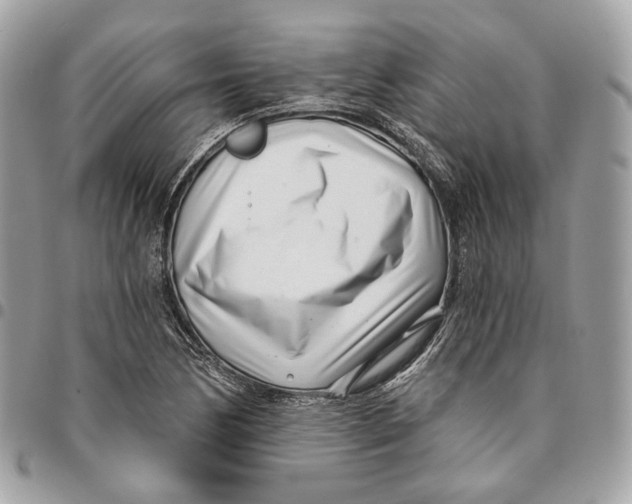 X0000096151170200802081405