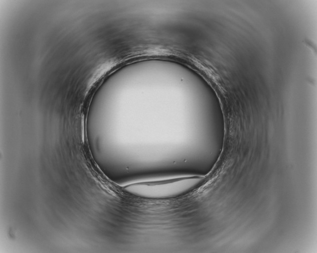 X0000096151171200802081405