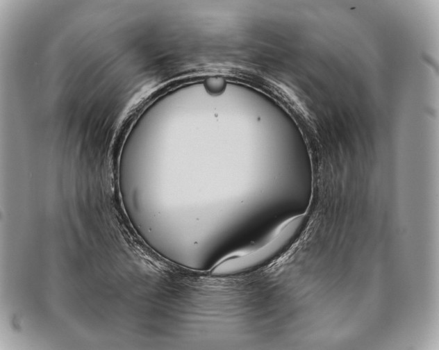 X0000096151172200802081404