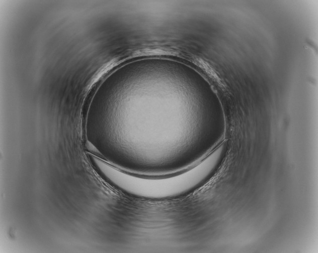 X0000096151173200802081404