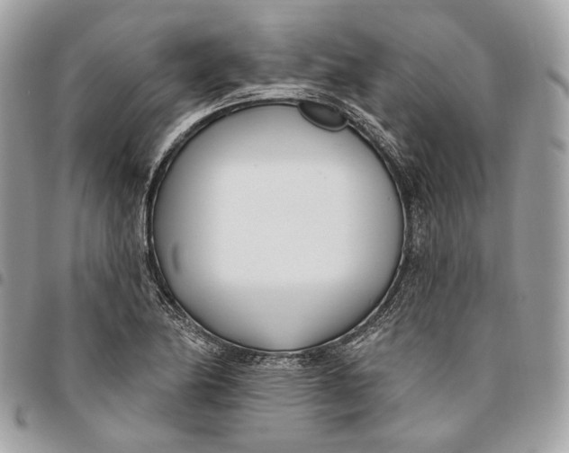 X0000096151174200802081404