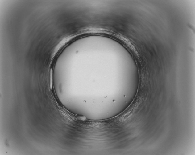 X0000096151175200802081404