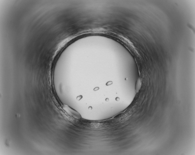 X0000096151176200802081404