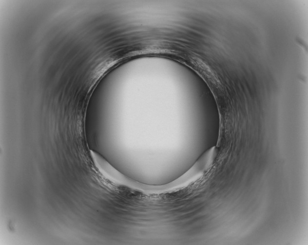 X0000096151177200802081404