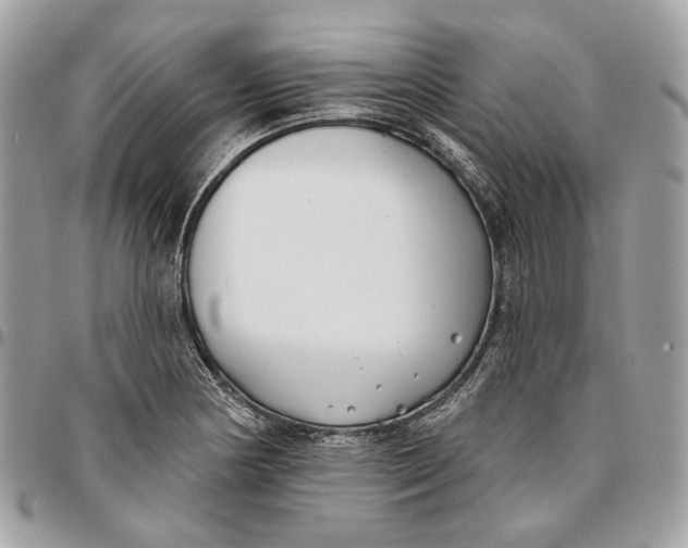 X0000096151178200802081404