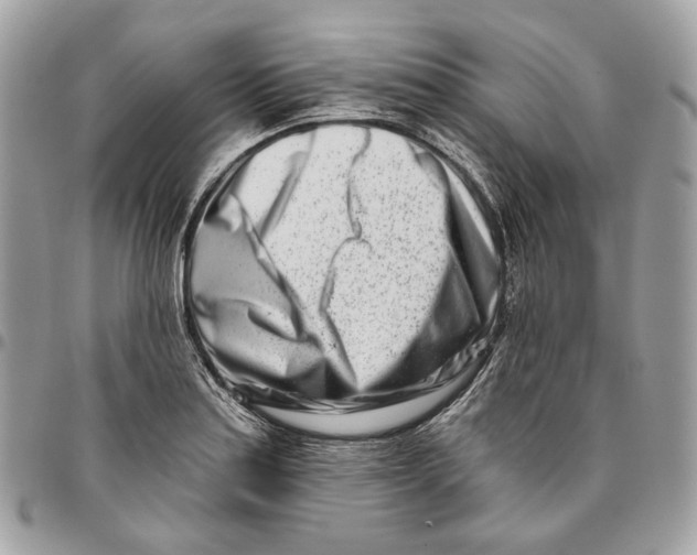 X0000096151179200802081404