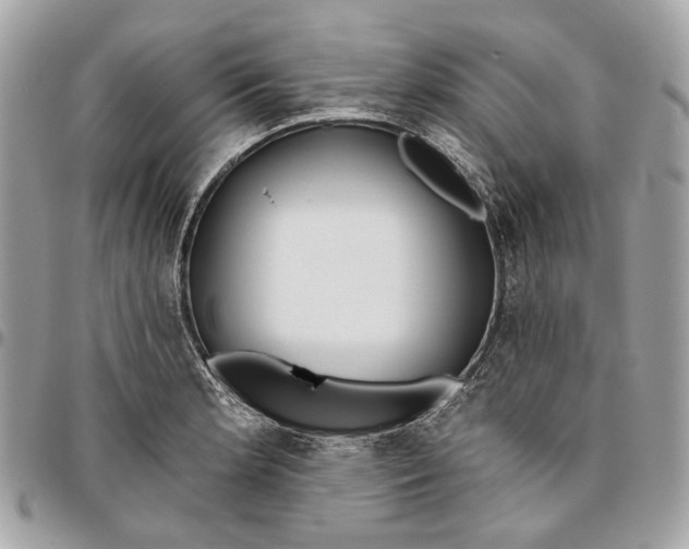 X0000096151181200802081404