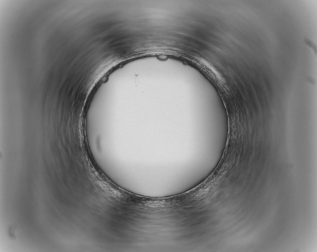 X0000096151182200802081404