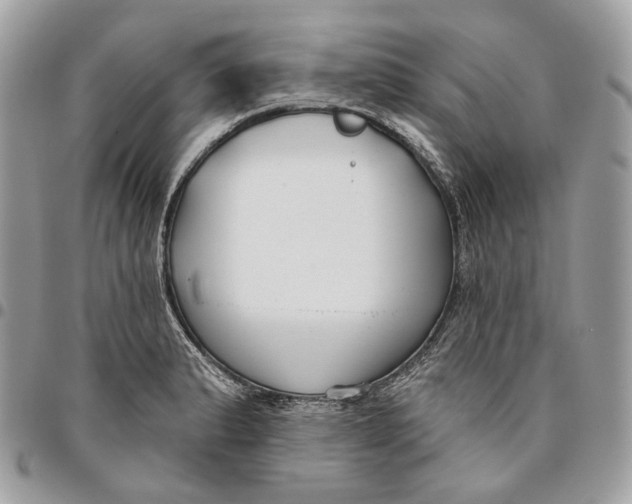 X0000096151183200802081404