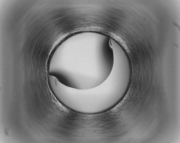 X0000096151184200802081404