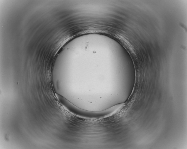 X0000096151185200802081404