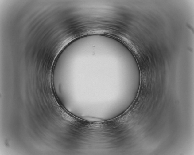 X0000096151186200802081404