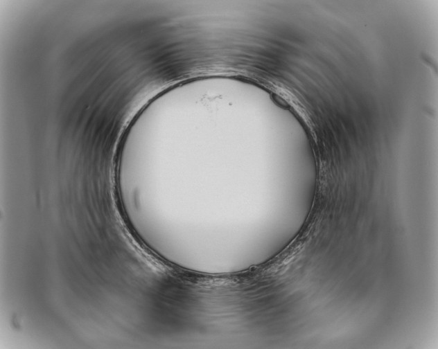 X0000096151187200802081404