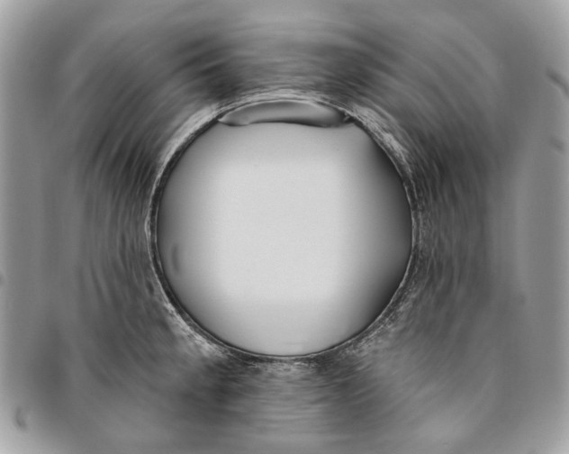 X0000096151189200802081404