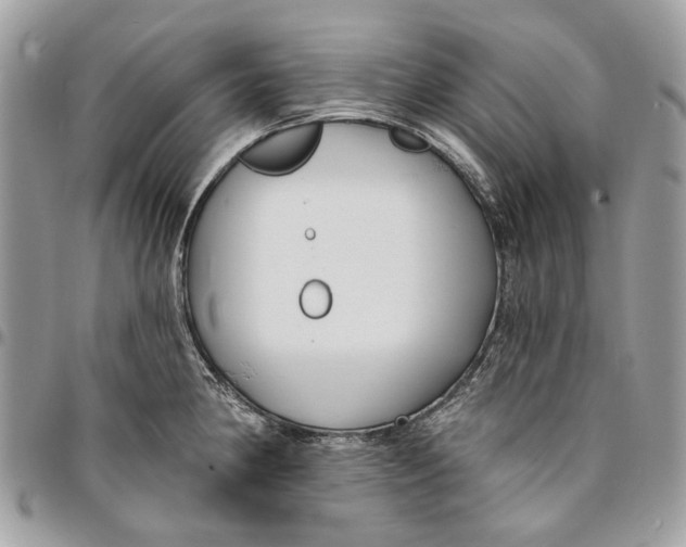 X0000096151190200802081404