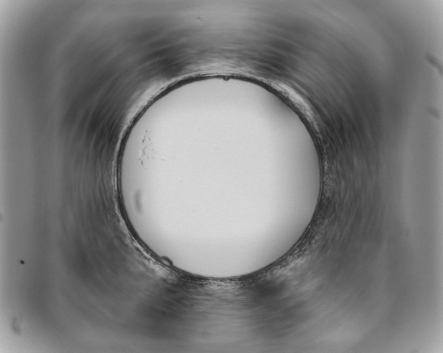 X0000096151191200802081404