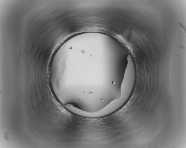 X0000096151192200802081404