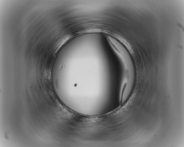 X0000096151193200802081404