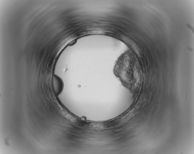 X0000096151194200802081404