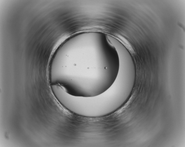 X0000096151196200802081404