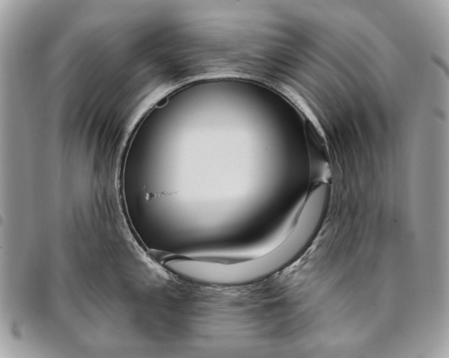 X0000096151197200802081404