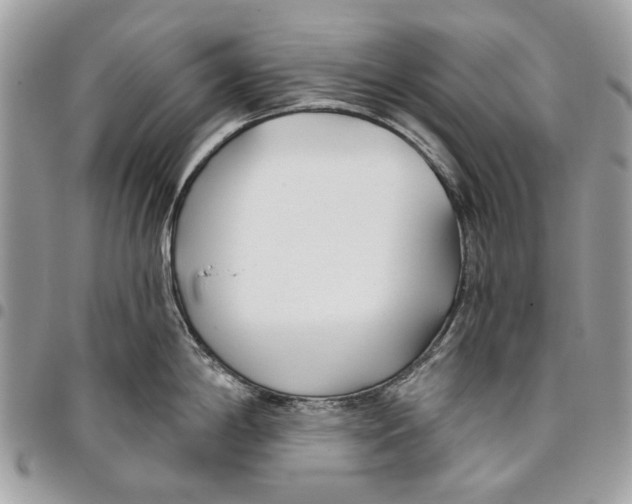 X0000096151198200802081404