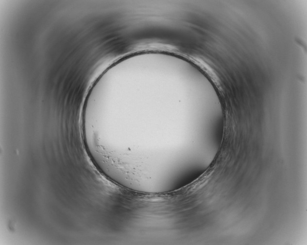 X0000096151199200802081404