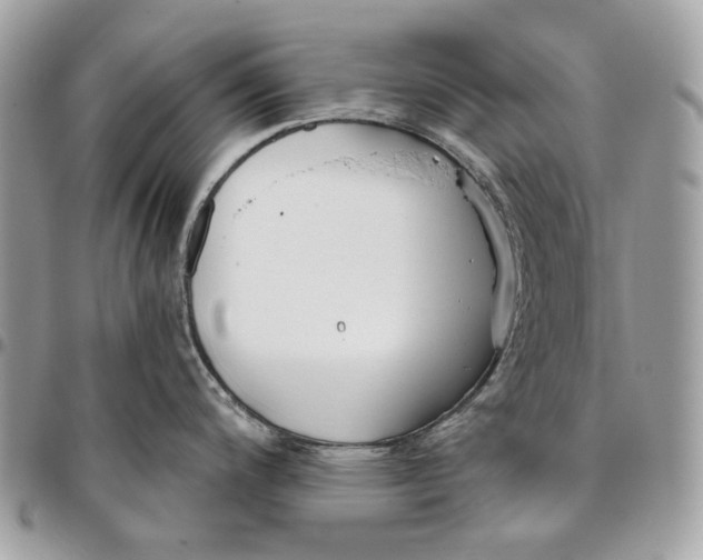 X0000096151200200802081404