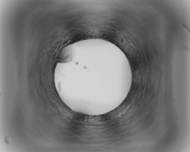 X0000096151201200802081403