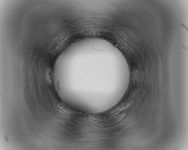 X0000096151202200802081403