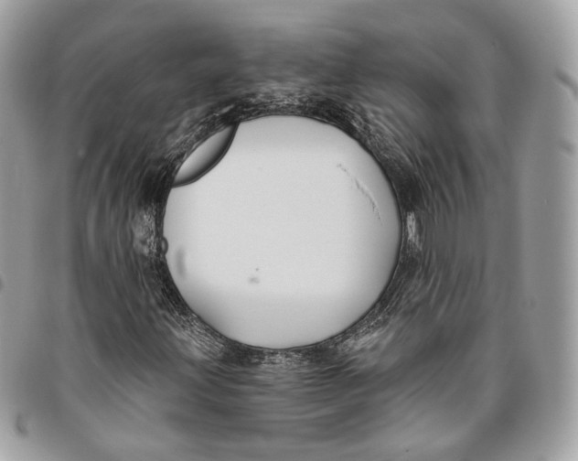 X0000096151203200802081403