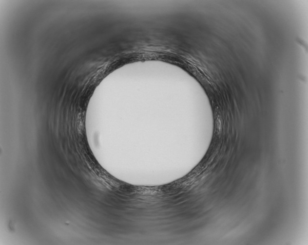 X0000096151204200802081403